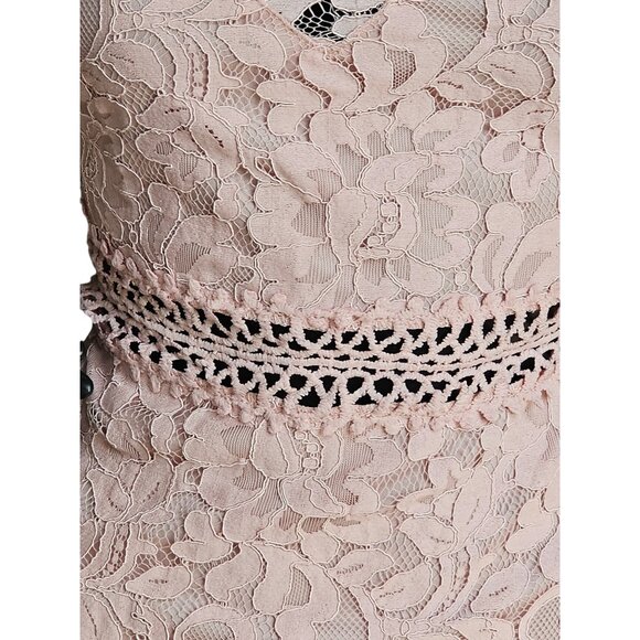 Pink Lace Illusion Sheath Dress - Picture 8 of 8